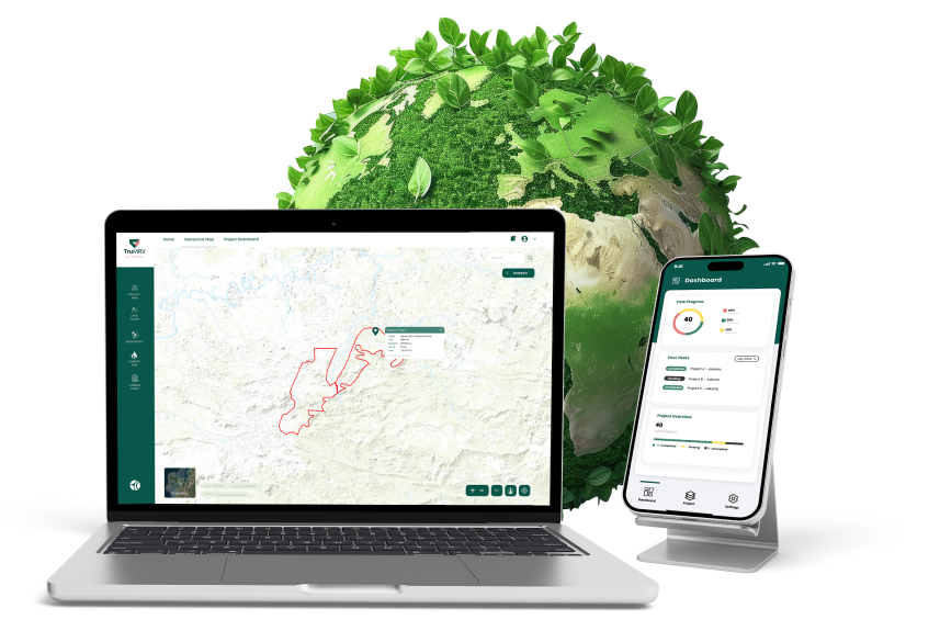 AI Carbon Monitoring