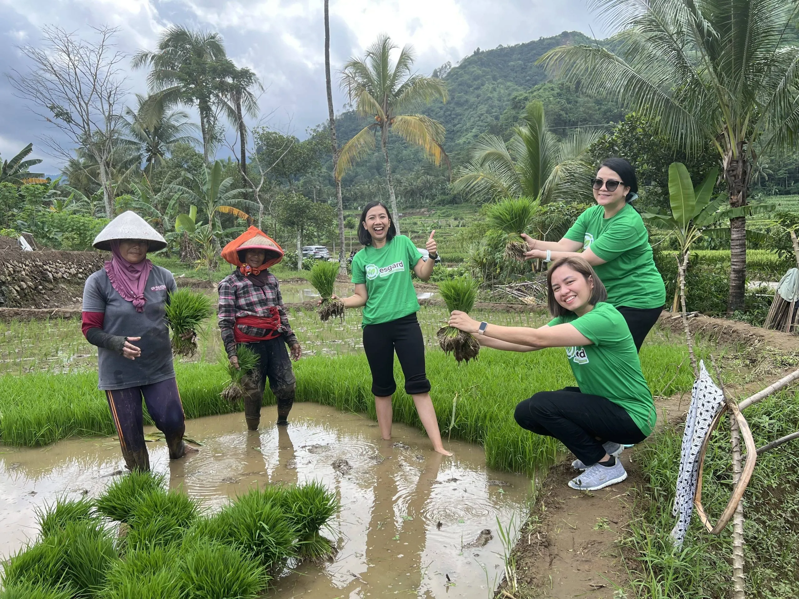 Turning Rice Husk and Corn Cob Waste Into A Biochar Carbon Project | Central Java 1 Biochar carbon project in Indonesia