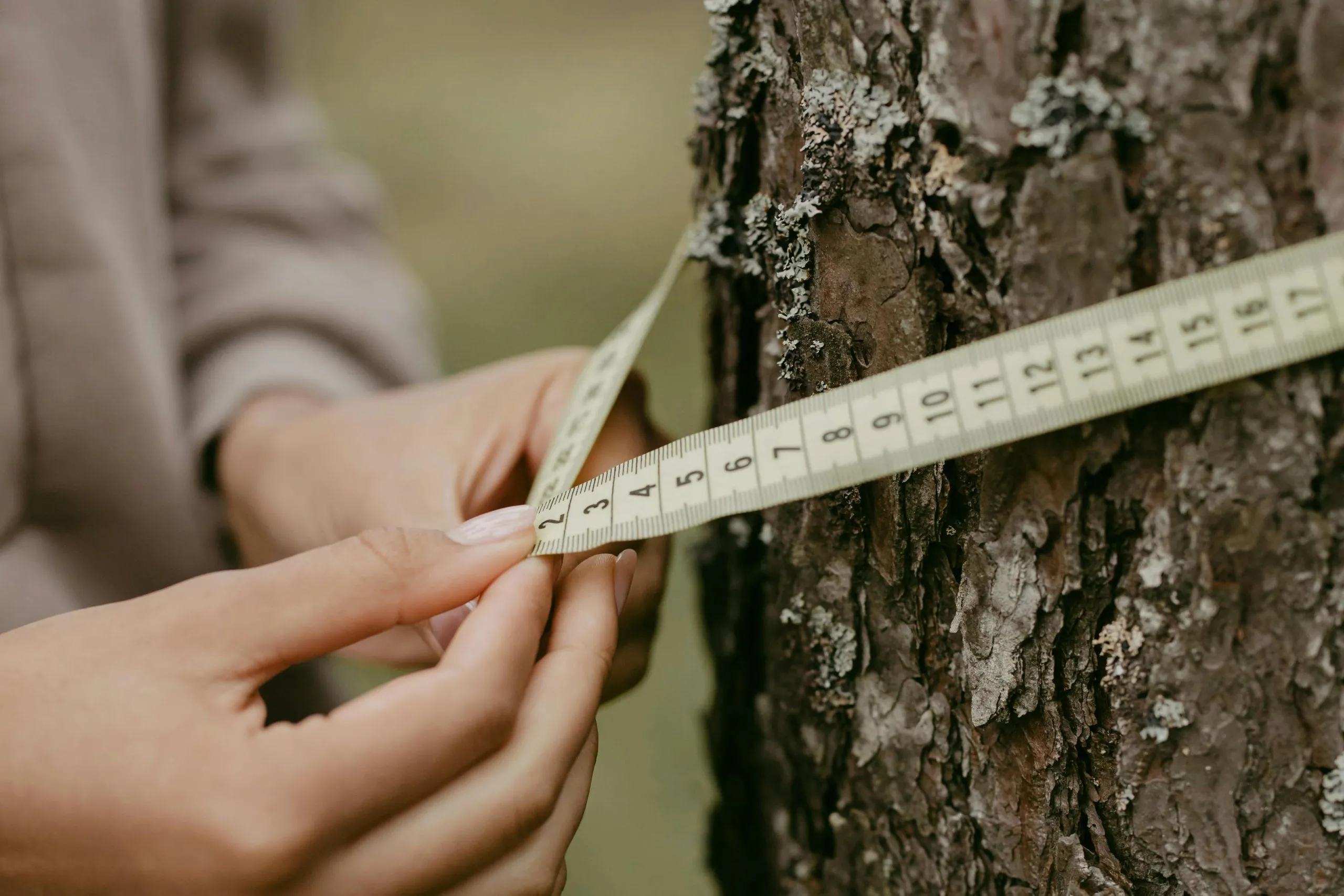 TruMRV 15 Forestry carbon project monitoring