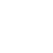icon 01 TruMRV 1