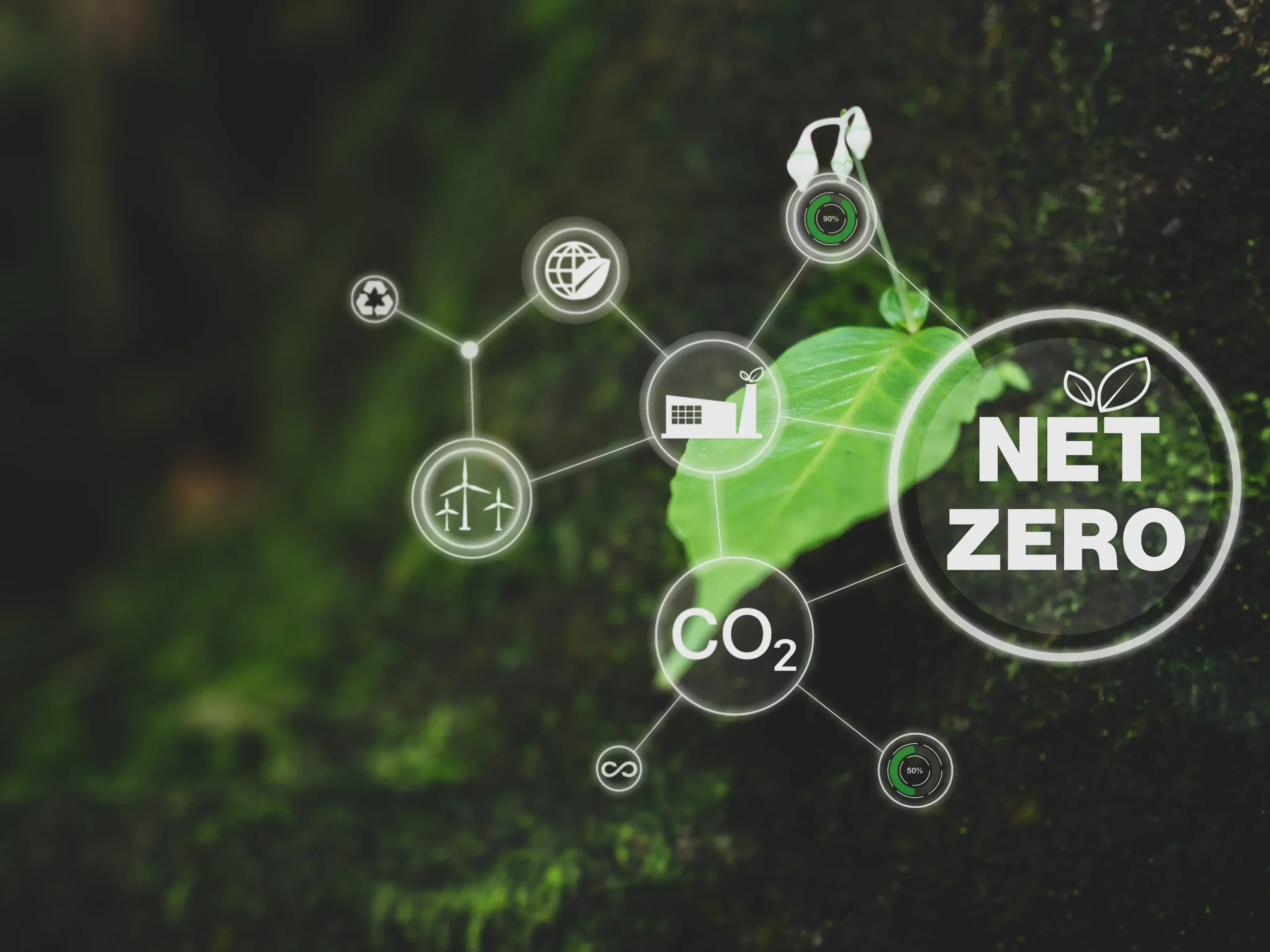 Climate Advisory 90 net zero target