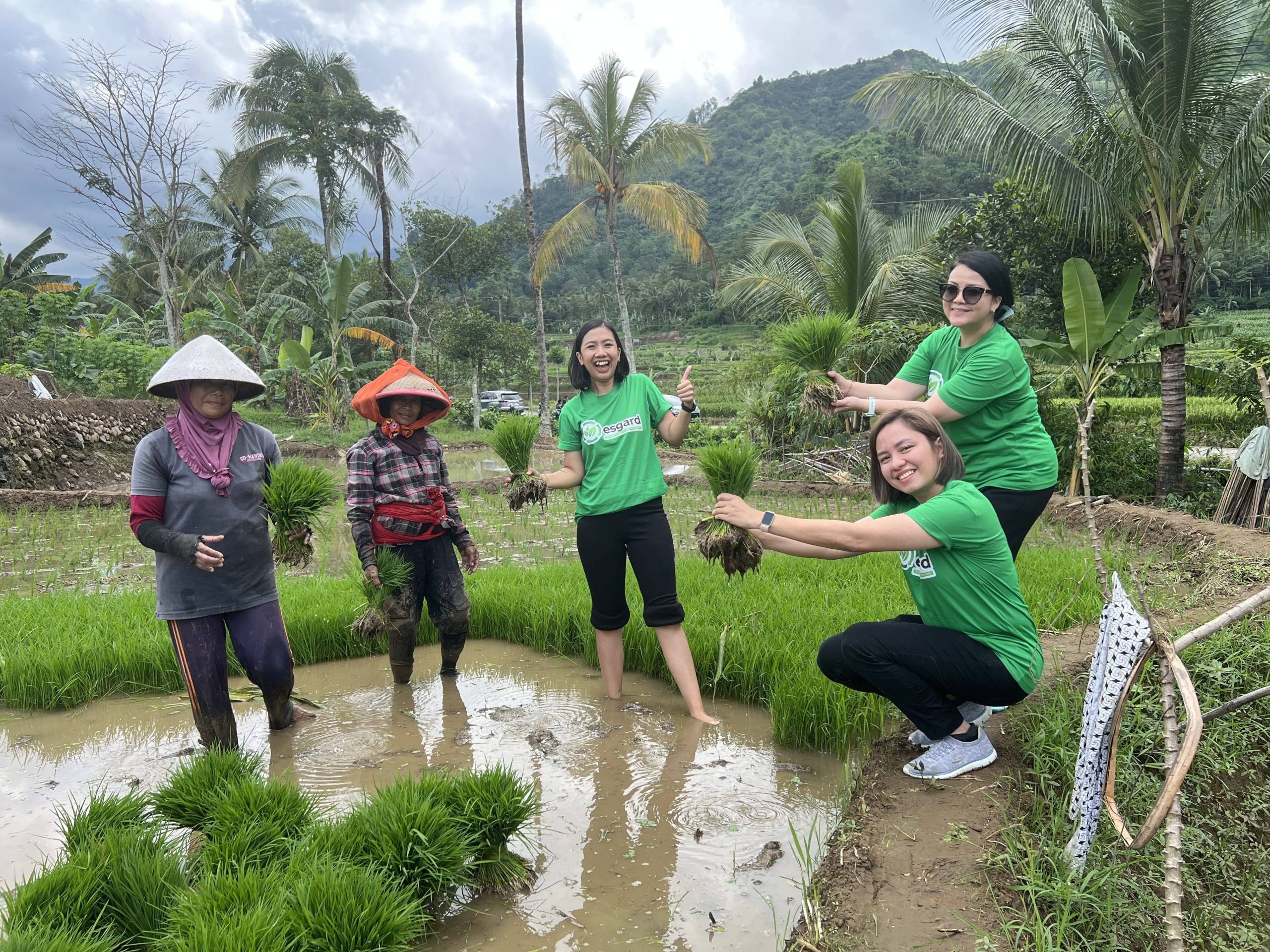 Turning Rice Husk and Corn Cob Waste Into A Biochar Carbon Project | Central Java 1 Biochar carbon project in Indonesia