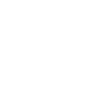 icon 02 TruMRV