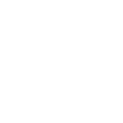 icon 03 TruMRV