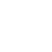 icon 04 TruMRV