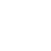 icon 05 TruMRV