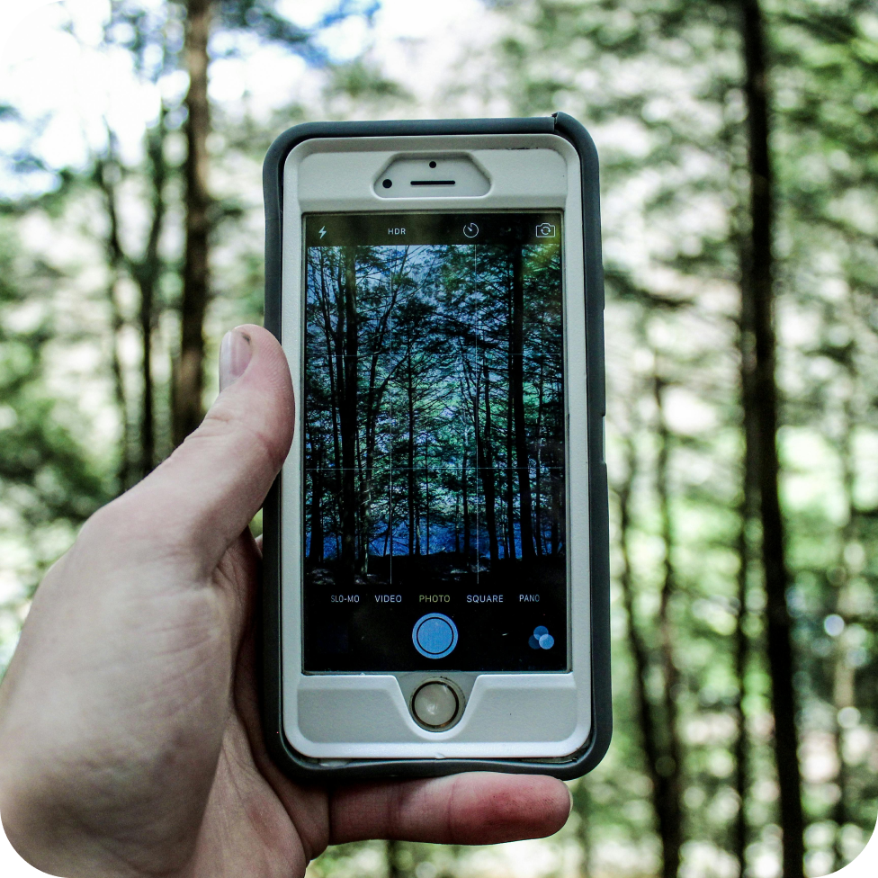 TruMRV 75 monitoring forestry carbon project
