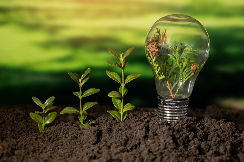 high-quality carbon credit