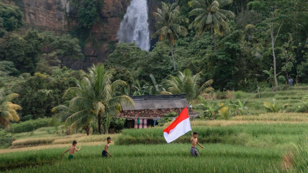 buying carbon credits in Indonesia